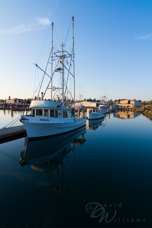 Bellingham Marina