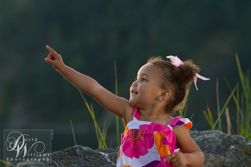 Wordless Wednesday 08.10.11, David Williams, Canon 7d