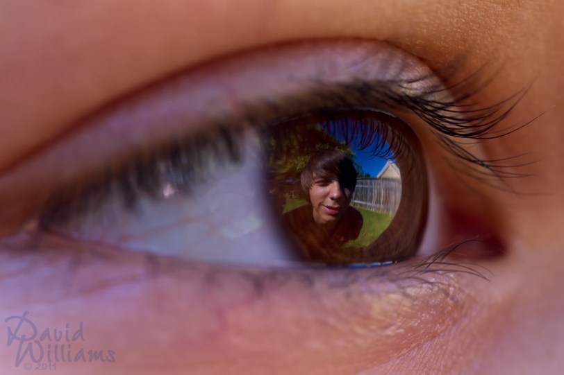 Macro Monday Personal Dreams by David Williams, Canon 7d