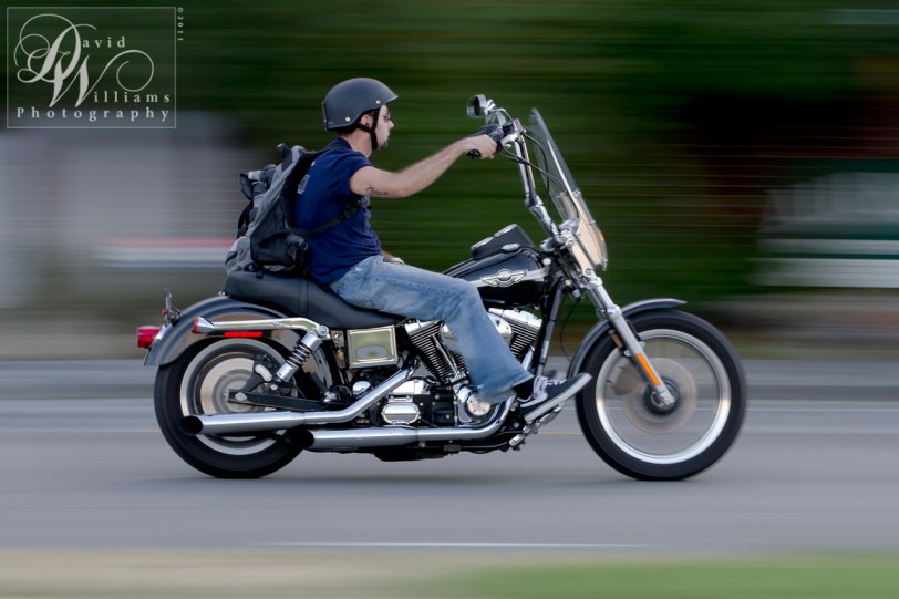 Zoom, David Williams, Canon 7d