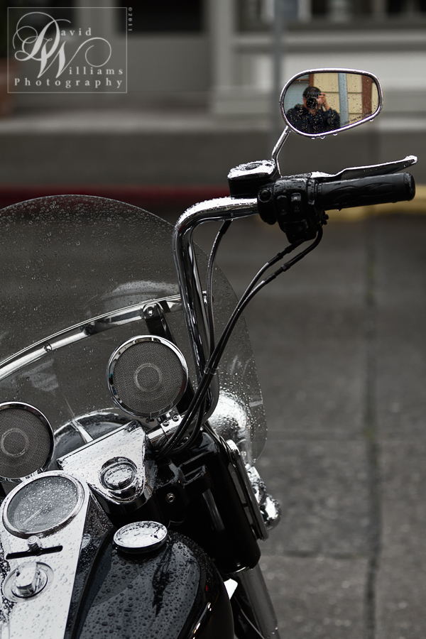 David Williams Photography Canon 7d