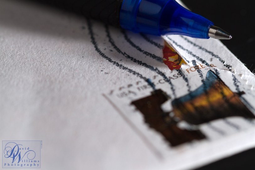 David Williams Photography Canon 7d