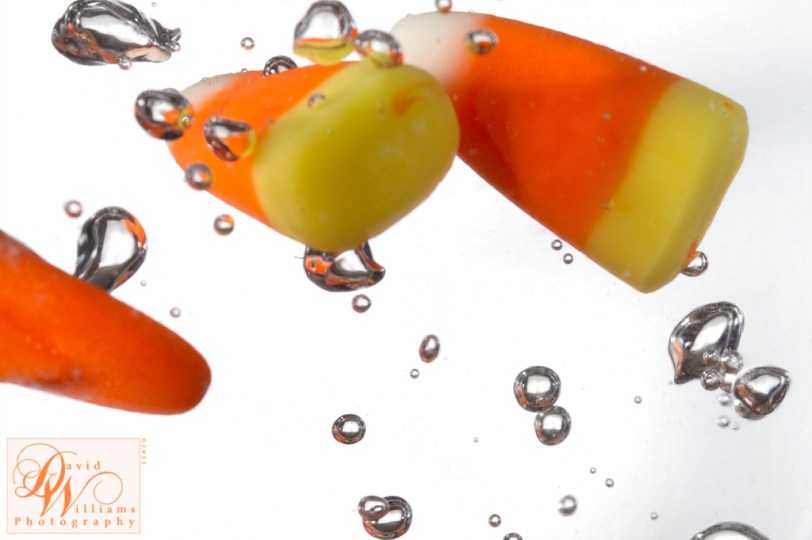 David Williams Photography Macro Monday