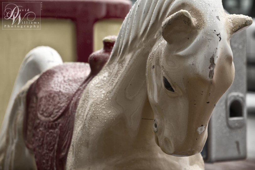 David Williams Photography Remember When Canon 7d