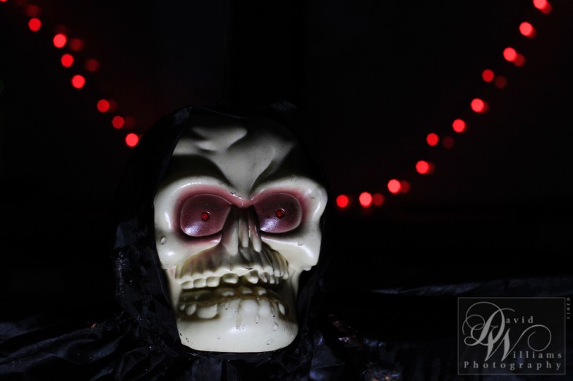 David Williams Photography Canon 7d