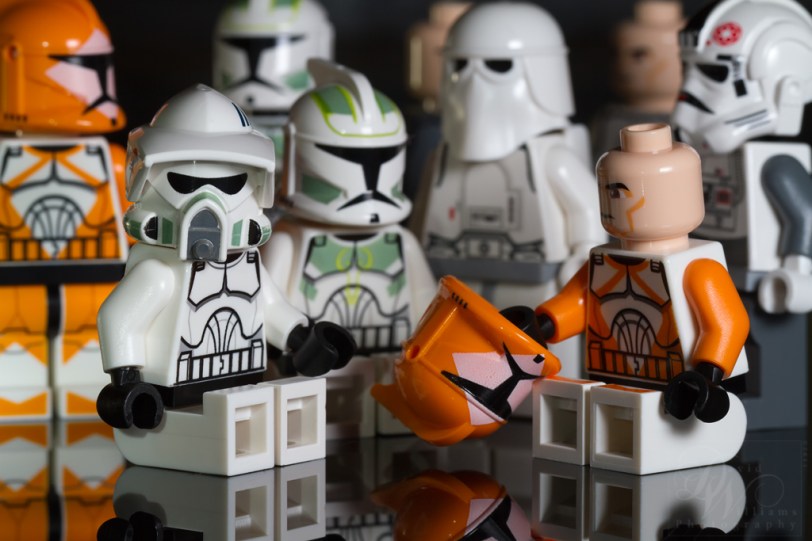 David Williams Photography Macro Monday Canon 7d