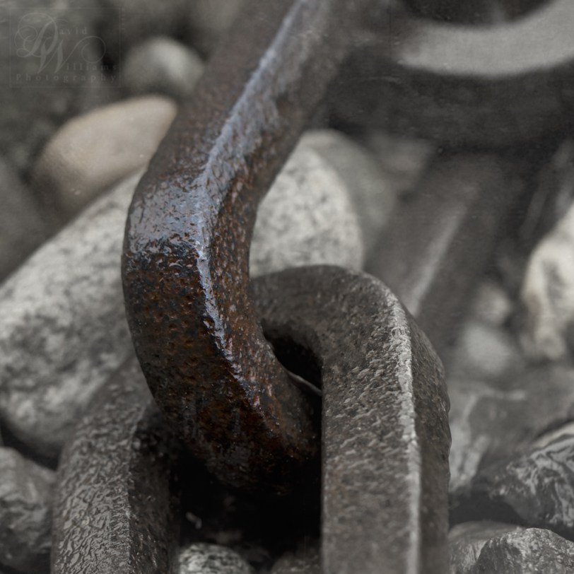 David Williams Photography Canon 7d