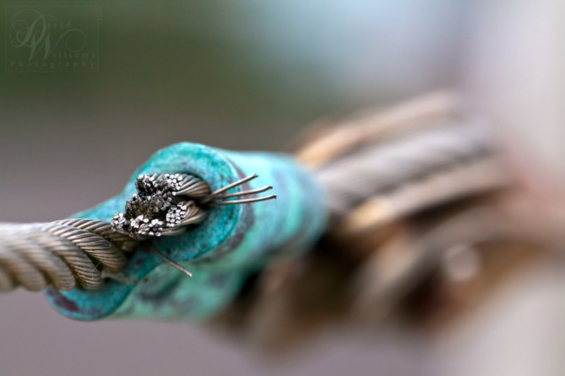 David Williams Photography Canon 5d Mark ii