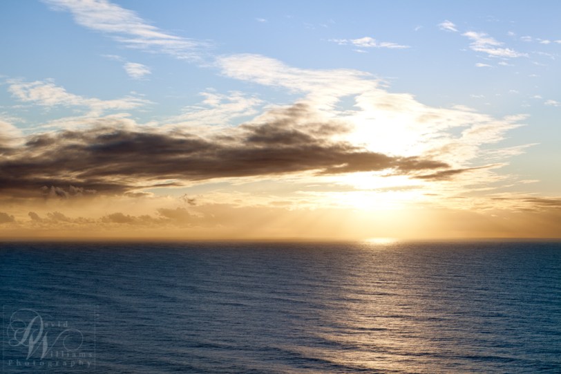 David Williams Photography Canon 5d Mark II