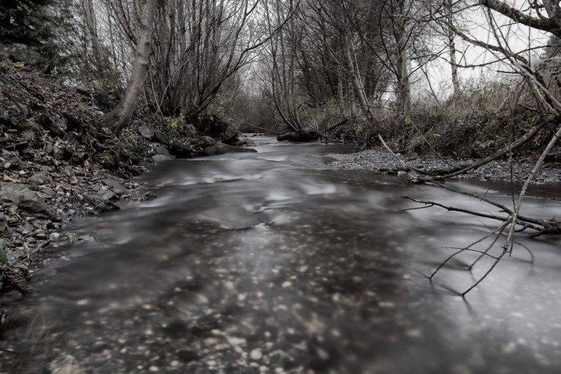 David Williams Photography Canon 5d Mark II