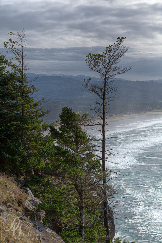 David Williams Photography Canon 5d Mark ii