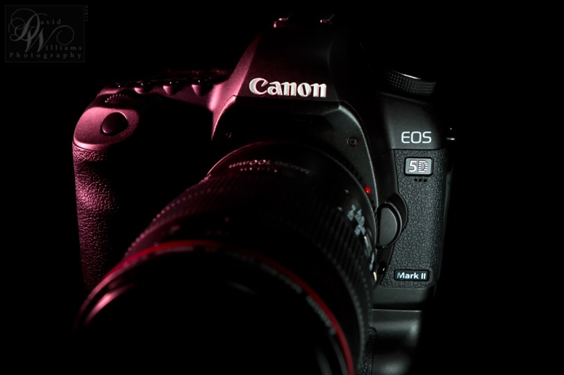 David Williams Photography Canon 5d Mark II