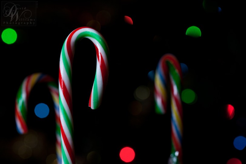 David Williams Photography Candy Cane