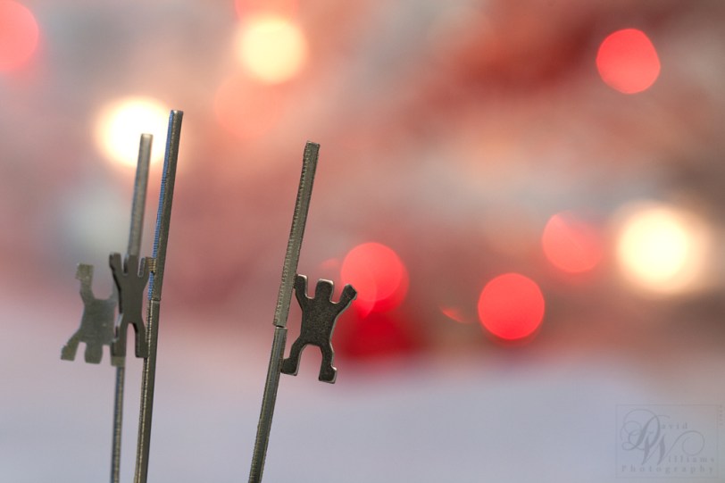 David Williams Photography Canon 5d Mark II