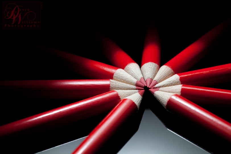 David Williams Photography, Lighting, Colour, Strobist