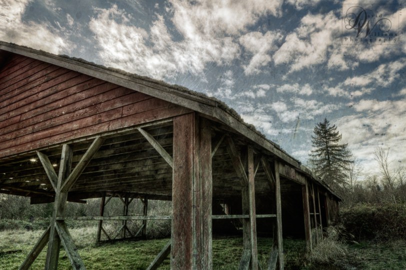 David Williams Photography Forsaken