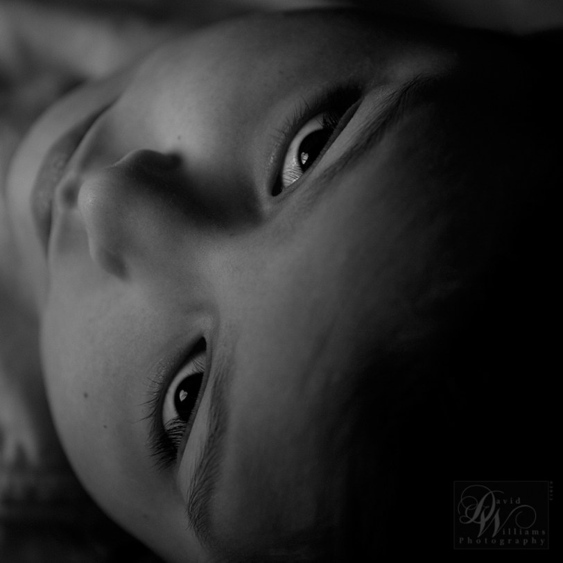 David Williams Photography iHeart Softbox Pro iPad 2