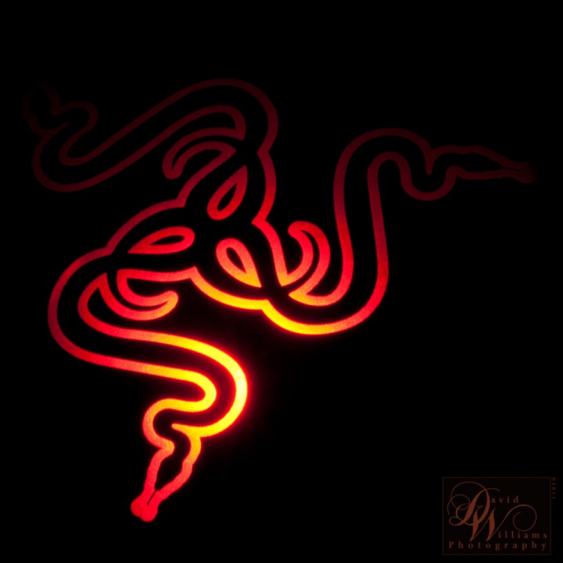 David Williams Photography