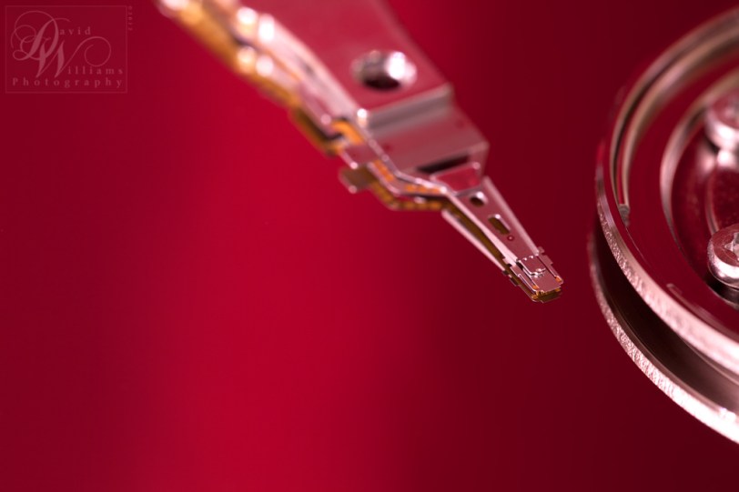 David Williams Photography Macro Monday