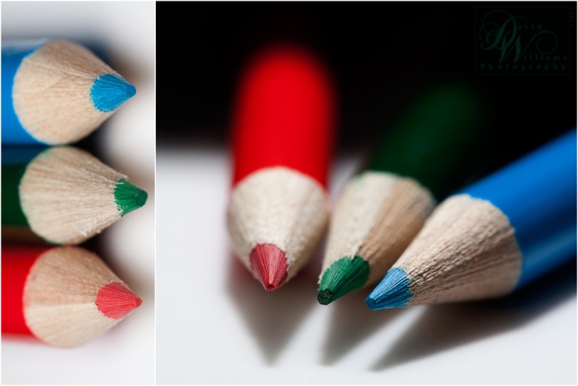 David Williams Photography Macro Monday Diptych