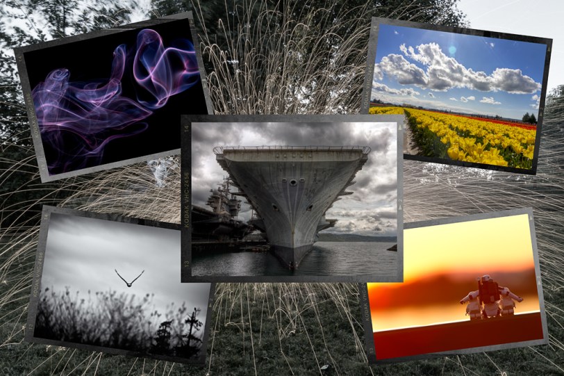 David Williams Photography Post 365