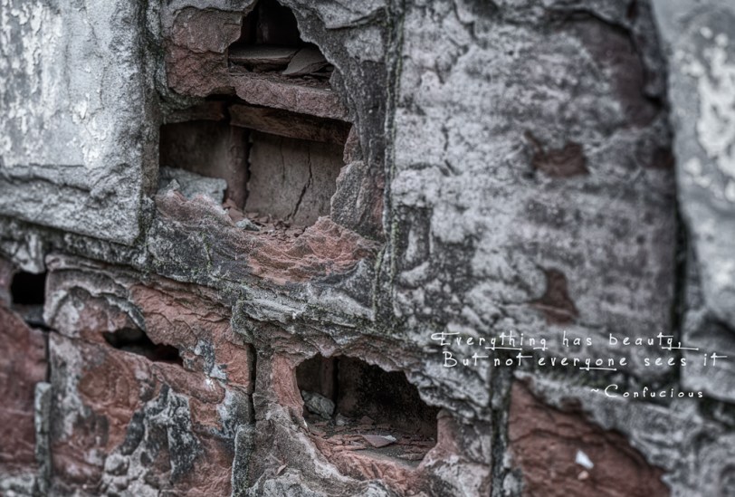 David Williams Photography Everything Has Beauty