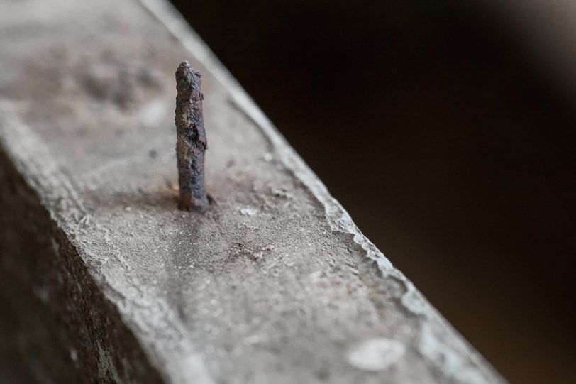 David Williams Photography Spiked Macro