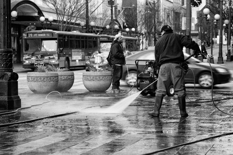 David Williams Photography