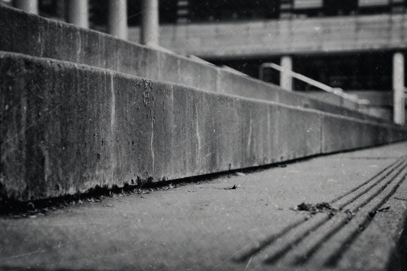 David Williams Photography 