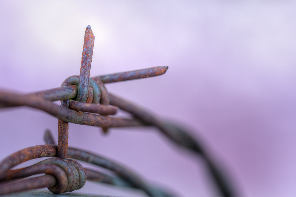 David Williams Photography Rusted