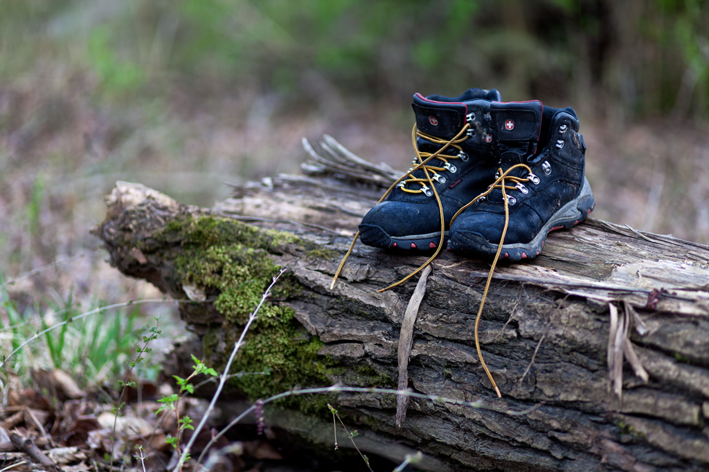 David Williams Photography Wordless WEdnesday