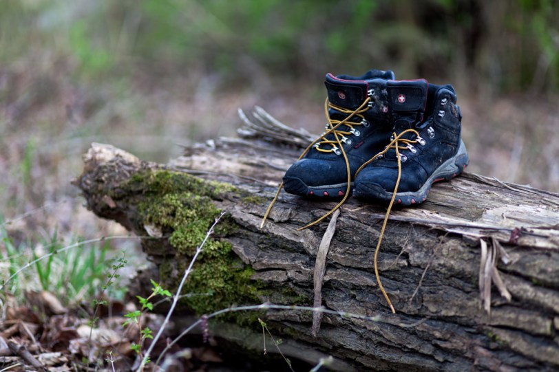 85mm 1.8 Wordless Wednesday ~03.28.12~ David Williams Photography Wordless Wednesday