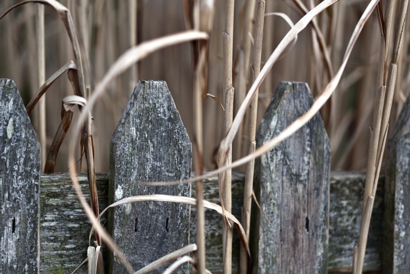 David Williams Photography