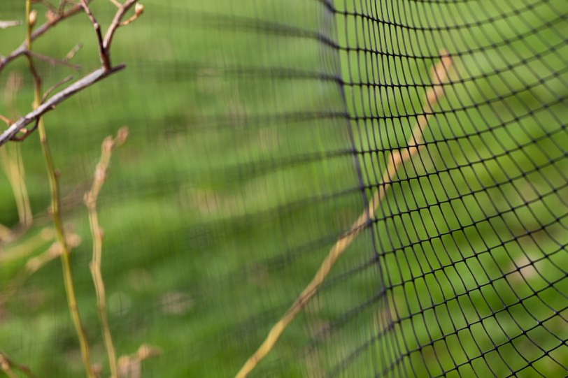 David Williams Photography Fence