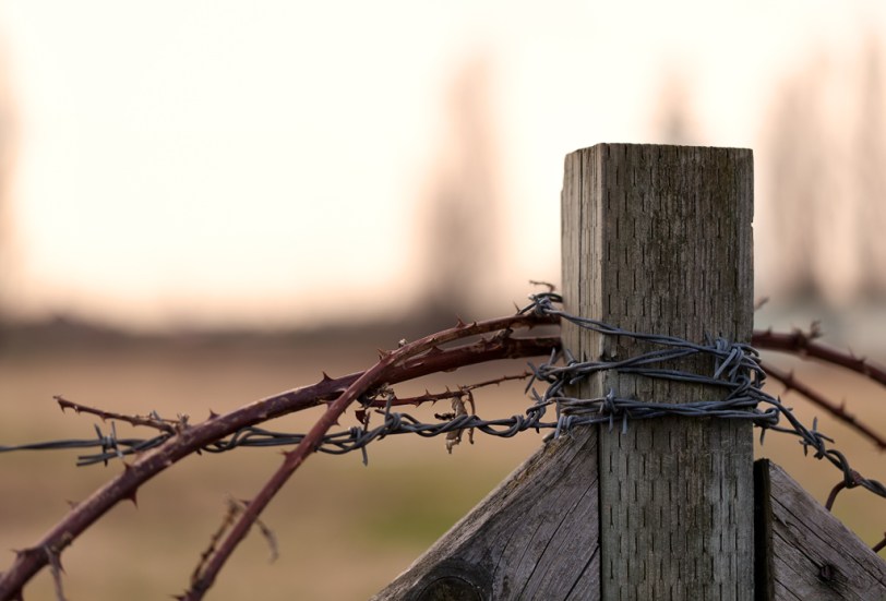 David Williams Photography Juxtaposition