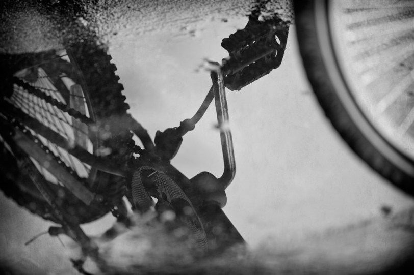 David Williams Photography Remembrance of Summer