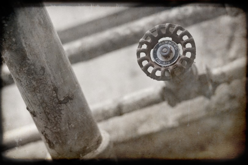 Texture Thursday ~03.22.12~ David Williams Photography Texture Thursday