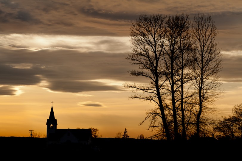 Wordless Wednesday ~03.14.12~ David Williams Photography Wordless Wednesday