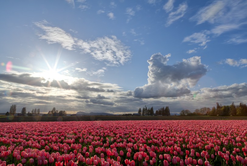 David Williams Photography Per Chance to Dream