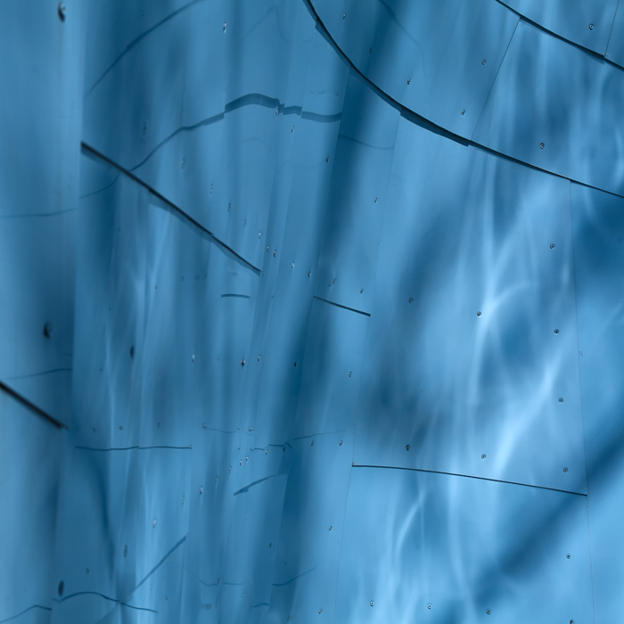 David Williams Photography Under the Ocean EMP