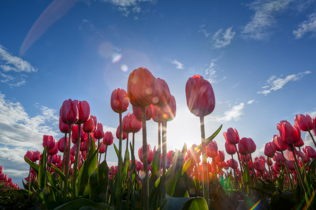 David Williams Photography Wordless Wednesday