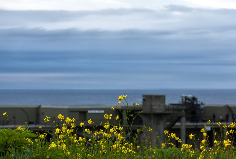 David Williams Photography Fort Casey