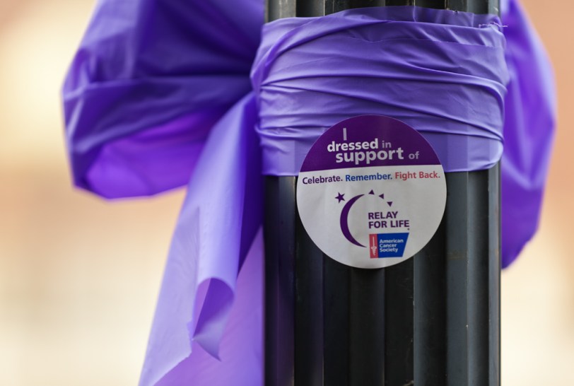 David Williams Photography Paint The Town Purple