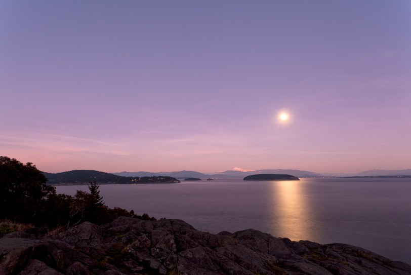 David Williams Photography Wordless Wednesday