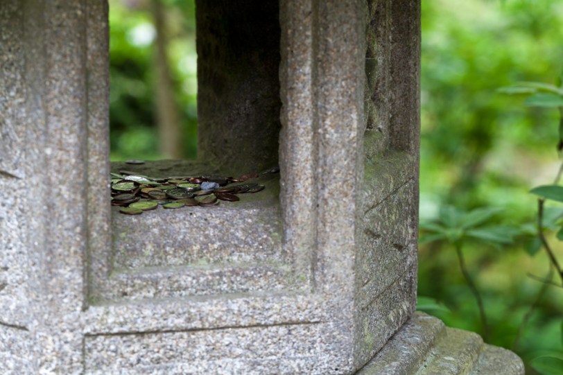 David Williams Photography