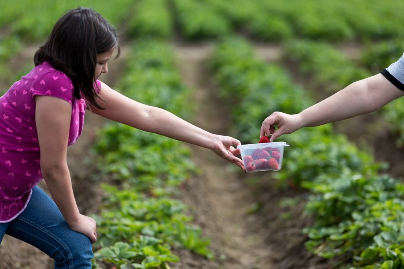 David Williams Photography