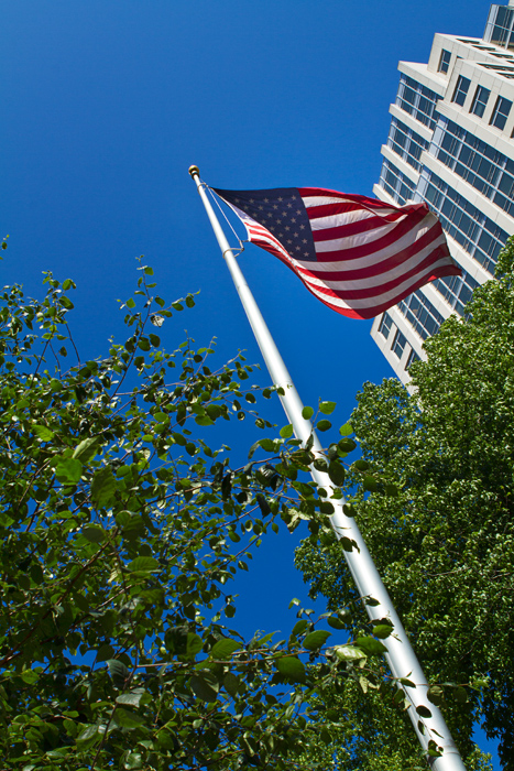 David Williams Photography 