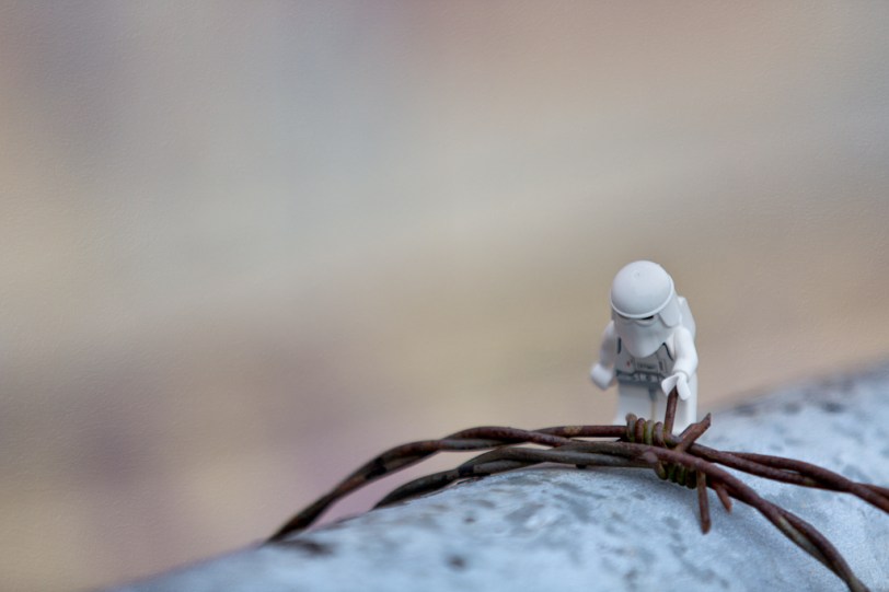 David Williams Photography Fenced Friday