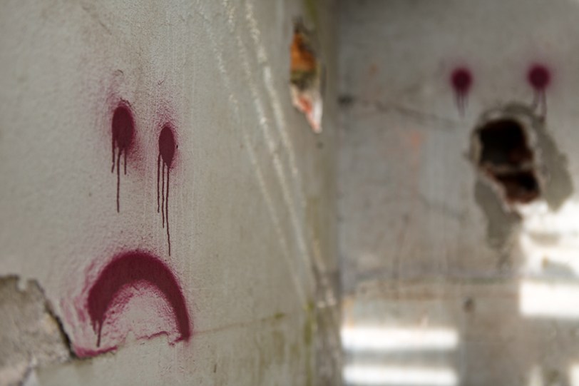 David Williams Photography