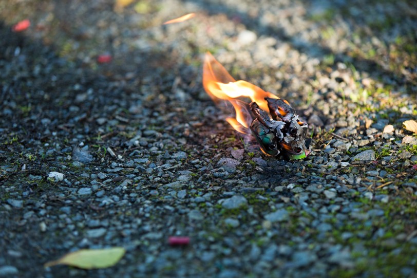 David Williams Photography